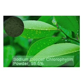 Sodium Copper Chlorophyllin Powder food grade 98.5% content 1KG/bag free shipping