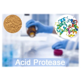 Acid Protease 160000u/g 1kg/bag free shipping