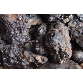 Shilajit Extract Powder 20:1 1KG/BAG