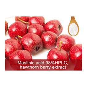 Maslinic acid 98%HPLC hawthorn berry extract 1g/bag free shipping