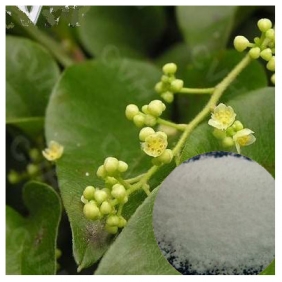 Hanfangichin B 98% HPLC Stephania tetrandra S.Moore Extract Powder 50gram/bag free shipping