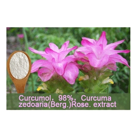 Curcumol 98% Curcuma zedoaria(Berg.)Rose. extract 500g/bag free shipping