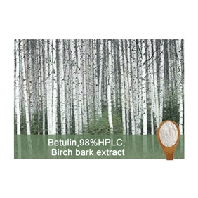 Betulin 98%HPLC Birch bark extract 100g/bag free shipping