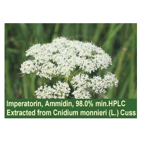 Imperatorin Ammidin CAS No. 482-44-0 purity at 98.0% min. 100grams/bag(0.2LB)