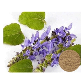 Coleus Forskohlii Extract with Forskolin 10% 1KG/BAG FREE SHIPPING - Click Image to Close