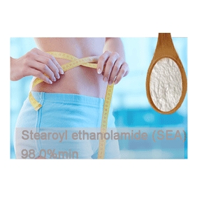 Stearoylethanolamide (SEA) Stearoyl ethanolamide SEA 98.0%min. 1kg/bag free shipping